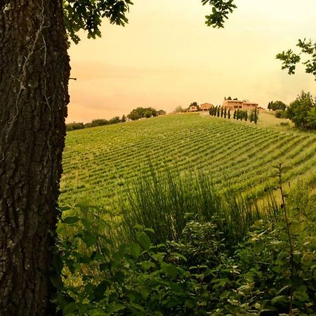 Casali Di Casole - Timbers Tuscany Казоле-д'Эльса Экстерьер фото