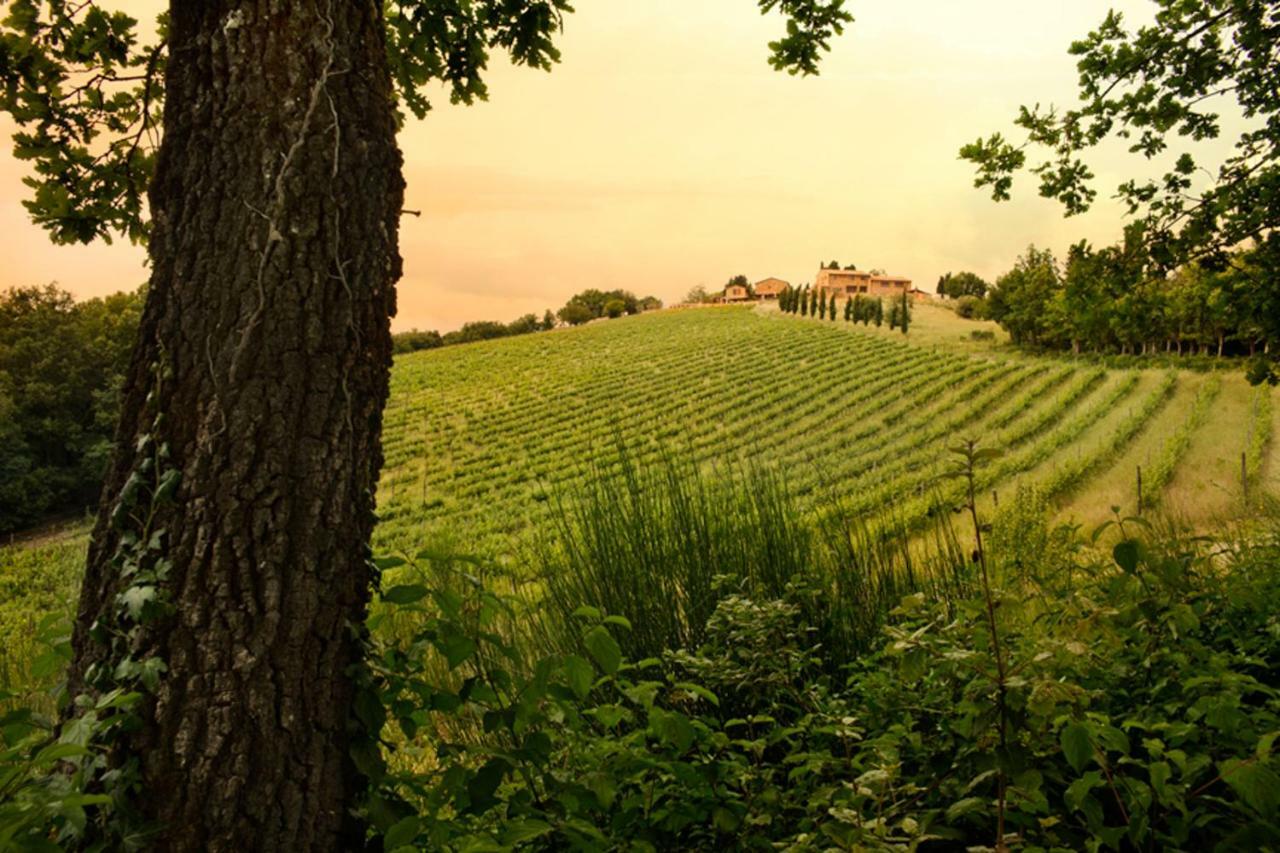 Casali Di Casole - Timbers Tuscany Казоле-д'Эльса Экстерьер фото